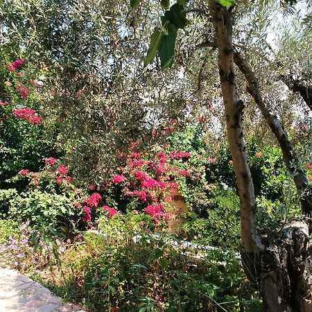 Angelica Villas Hotel Apartments Epidaurus Zewnętrze zdjęcie