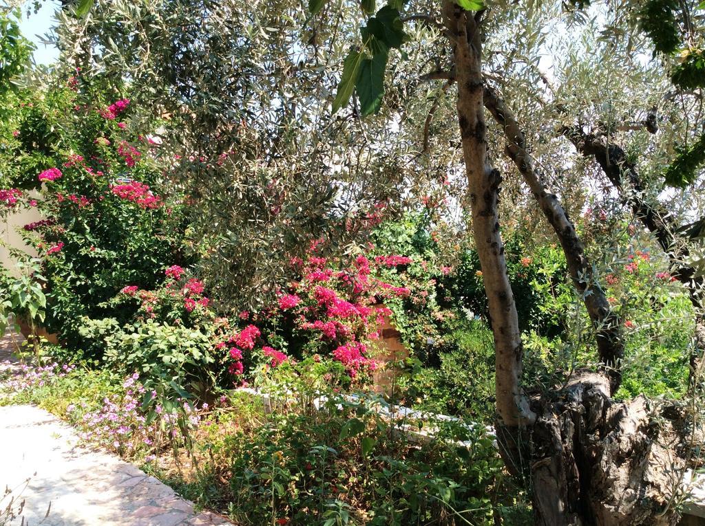 Angelica Villas Hotel Apartments Epidaurus Zewnętrze zdjęcie