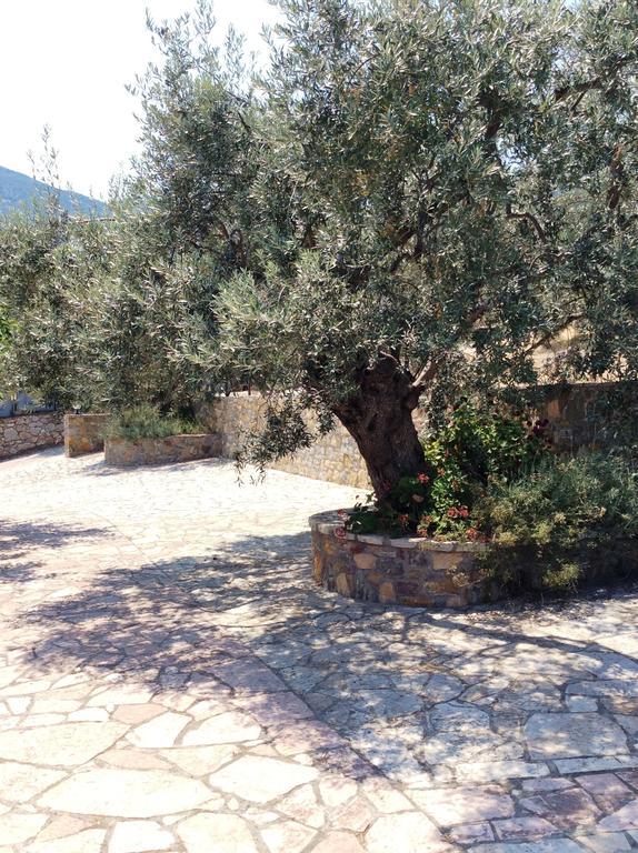 Angelica Villas Hotel Apartments Epidaurus Zewnętrze zdjęcie