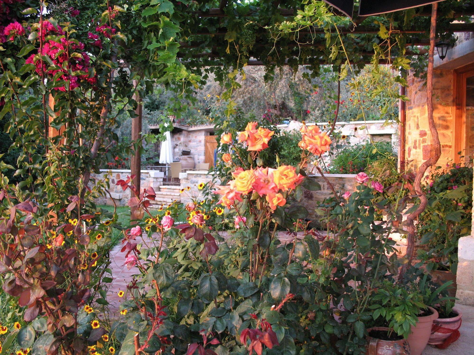 Angelica Villas Hotel Apartments Epidaurus Zewnętrze zdjęcie